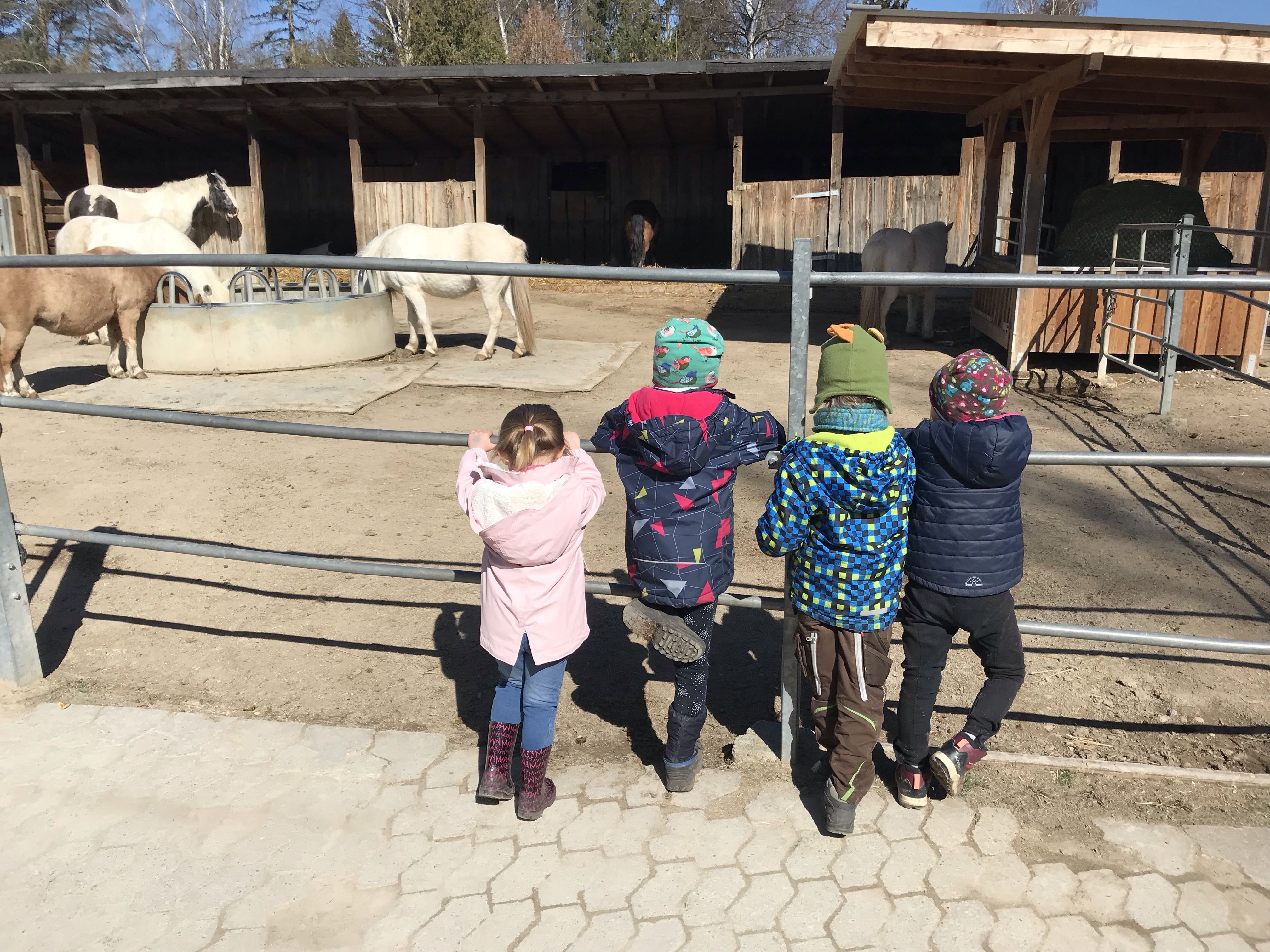 Ein Vormittag auf dem Reiterhof Tinkerfreunde